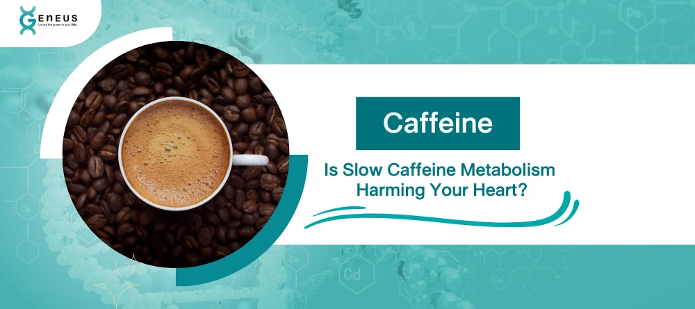 Slow Caffein
