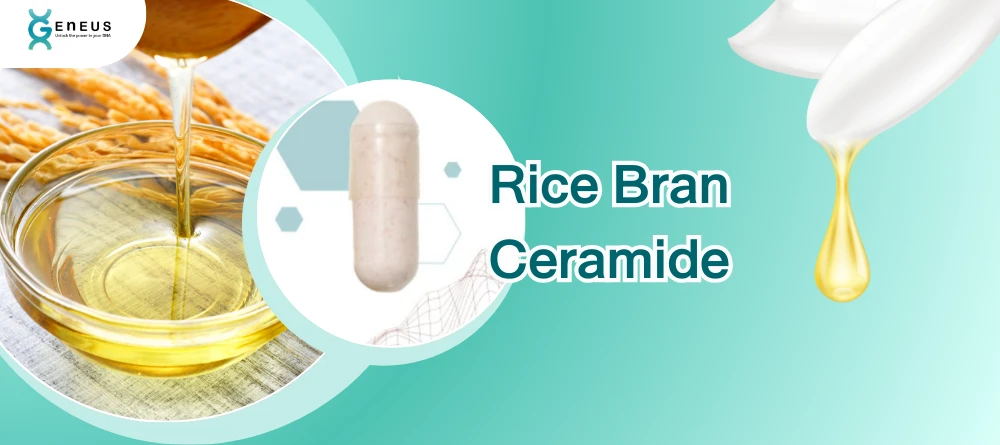Rice Bran Ceramide