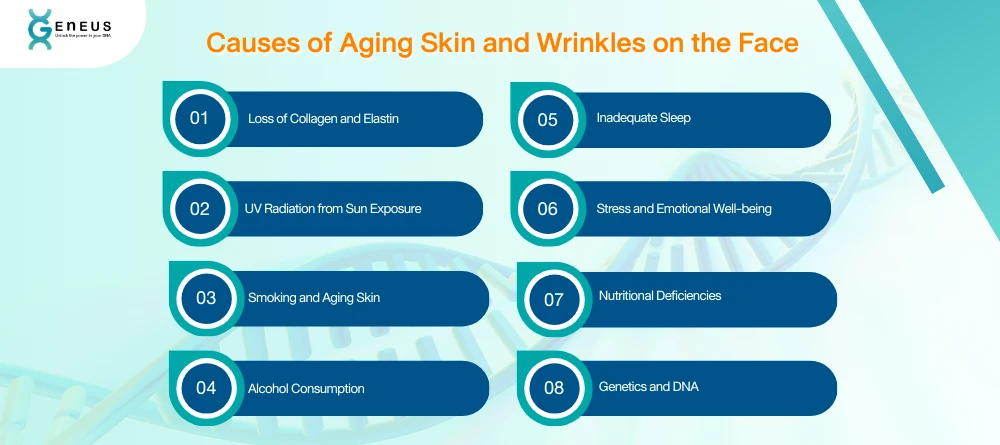 Causes of Aging