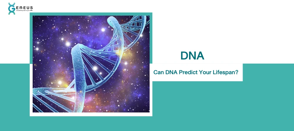 DNA Predict Life Span