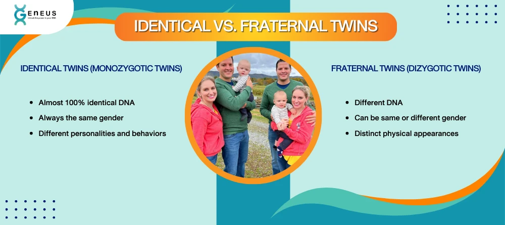 Identical Vs Fraternal twins