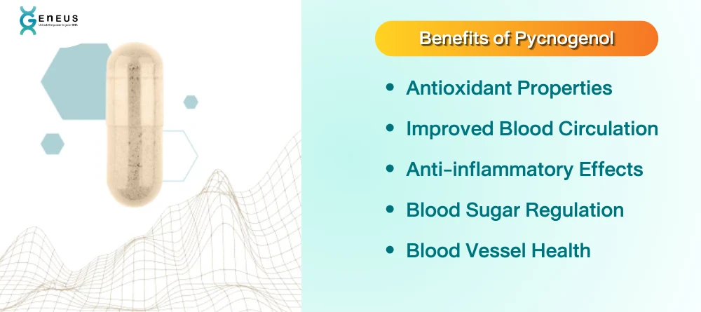 Benefits of Pycnogenol